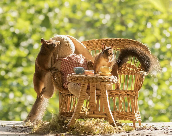 Red Squirrels and doll with a table and cups