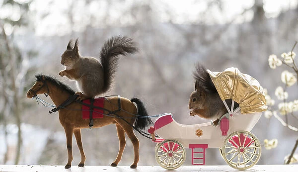 Red Squirrels with a horse and carriage