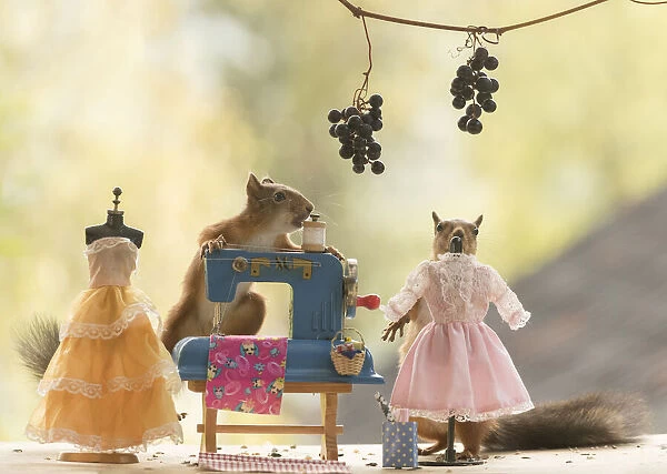 Red Squirrels with a sewing machine