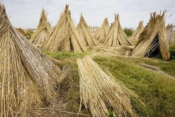 Reed-cutters yard on the plains of eastern Hungary, Hortobagy National Park, east Hungary