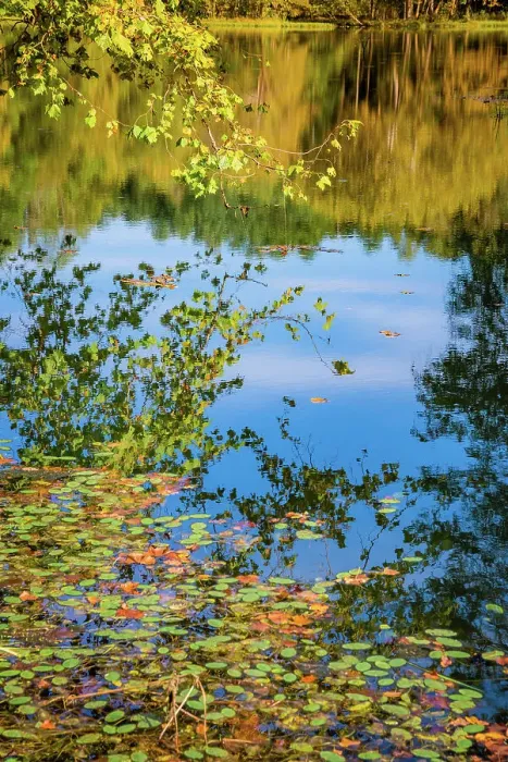 Framed Print : Reflections, Otter Lake, Blue Ridge Parkway, Virginia, USA. Date: 04-10-2018