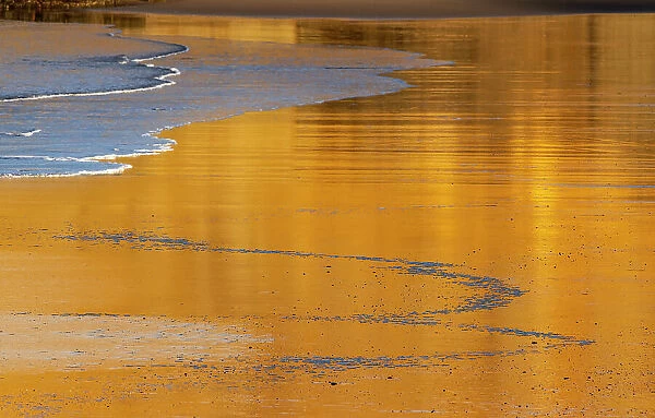 Reflective wet sand at sunrise, Cape Kiwanda in Pacific City, Oregon, USA Date: 07-10-2021