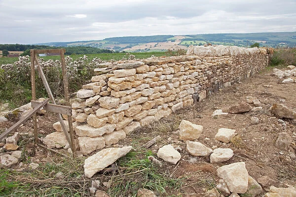 Restoring damaged Cotswold stone wall - near Winchcombe - Gloucestershire - UK
