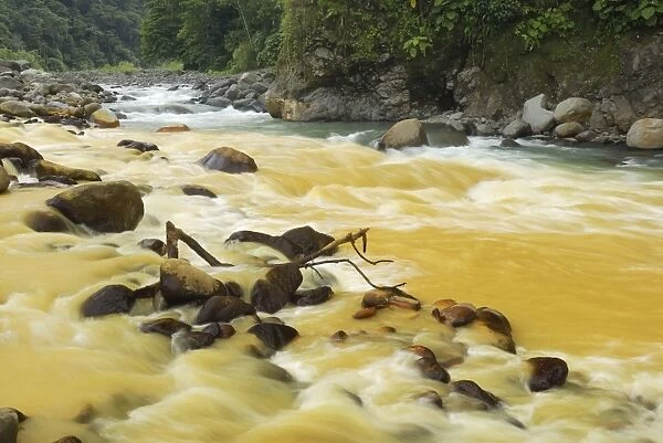 Rio Sucio converges with Rio Honduras Braulio Carillo N. P. Costa Rica