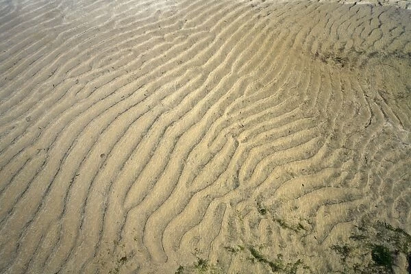 Ripples - at low tide, North Sea, Northumberland National Park, England