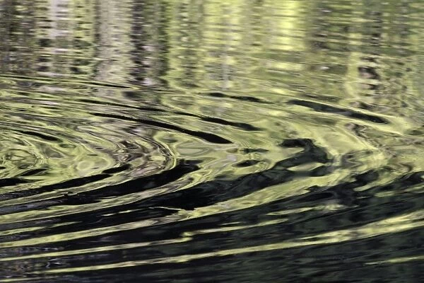Ripples - on surface of lake - Hessen - Germany