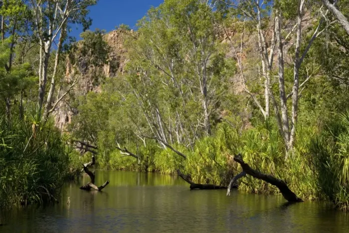 Framed Print : River in the desert - a permanent river cuts its ways through a sandstone plateau in the desert in the Northern Territory. Rich, green cabbage trees and gum trees line the shoreline - Katherine Gorge National Park, Nitmuluk National Park Framed Print : River in the desert - a permanent river cuts its ways through a sandstone plateau in the desert in the Northern Territory. Rich, green cabbage trees and gum trees line the shoreline - Katherine Gorge National Park, Nitmuluk National Park
