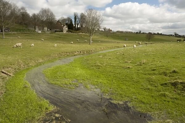 River Ebble nr Ebbesbourne Wake, Upper Avon catchment area. Winterbourne, flowing. Wiltshire