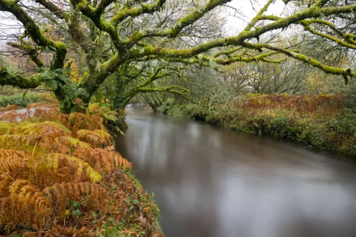 Framed Print : River Fowey - Cornwall - UK Framed Print : River Fowey - Cornwall - UK