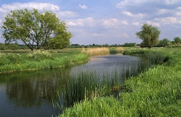 River - Houghton & Hemingford meadow walks on ouse valley. Special site of scientific interest
