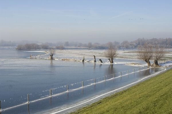 River IJssel Frozen, rimed foreland with dike The Netherlands, Overijssel