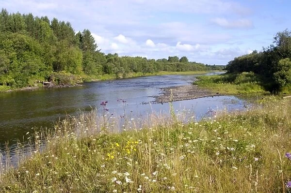 River Lalya valley, a typical Siberian river; near Staraya Lalya settlement in Ural Mountains; summer. Ur39. 4289