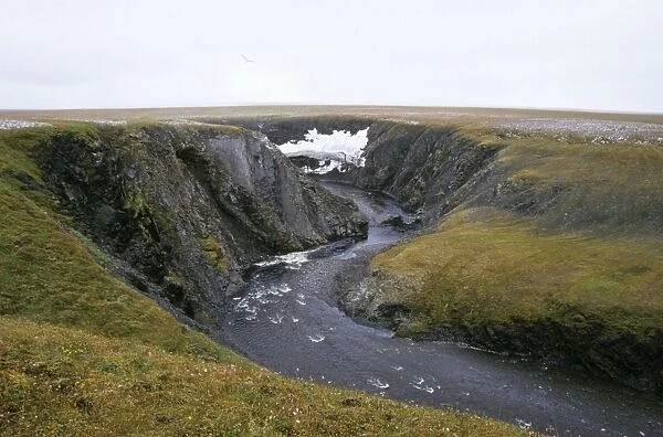 River Obrivistaya - very close to Kara sea shore. A typical landscape near Dikson, Russian Arctic: 30 m. deep canyon, everlasting snow (melts only in very warm summers). A lone sea-gull flies over a canyon