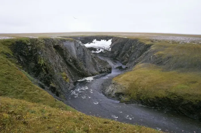 Framed Print : River Obrivistaya - very close to Kara sea shore. A typical landscape near Dikson, Russian Arctic: 30 m. deep canyon, everlasting snow (melts only in very warm summers). A lone sea-gull flies over a canyon Framed Print : River Obrivistaya - very close to Kara sea shore. A typical landscape near Dikson, Russian Arctic: 30 m. deep canyon, everlasting snow (melts only in very warm summers). A lone sea-gull flies over a canyon