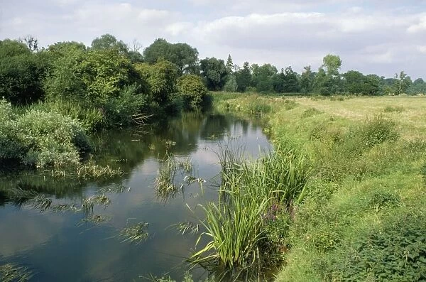 River Ouse Bromham, Bedfordshire, UK