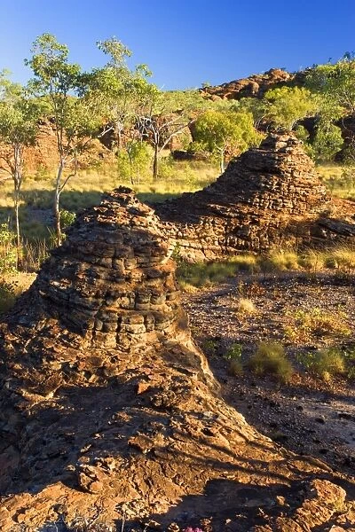 Keep River Rock formations - view from above onto beehive-shaped rock formations and eucalypt trees - Keep River National Park, Northern Territory, Australia