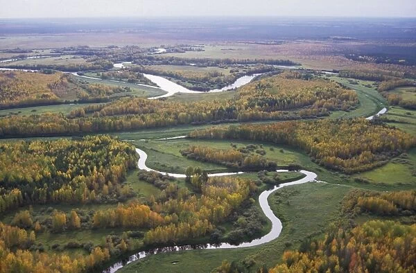 River Sosva meanders, forest and meadows (used for hay-making and transporting by the river); autumn; typical in North Ural Mountains region, Russia Ur31. 0006