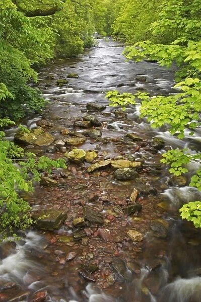 River Tawe Brecon Beacons NP, Wales LA000431