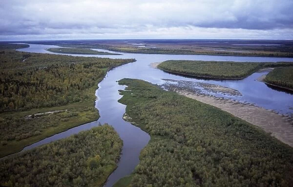 River Taz with sand-shelves, old river beds, islands: taiga-forest and marshes; autumn; Helicopter aerial North Tumen region, Siberia, Russia Tz30. 0566