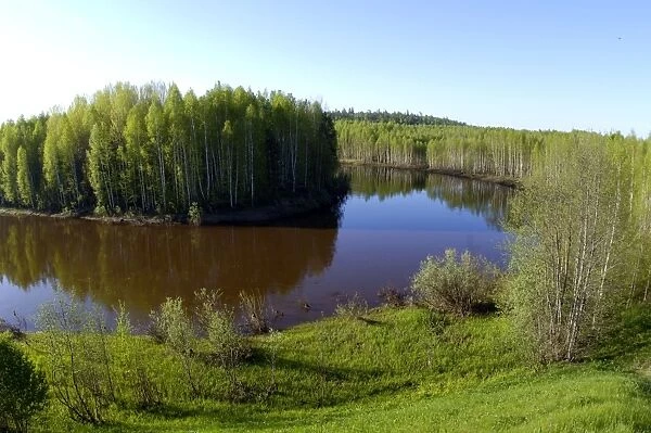 River Tura in North Ural Mountains - a typical large Siberian river with brown waters (coloured by pit) in spring. Native coniferous forest in the valley was cut for timber and replaced with birch and aspen later (land is state owned)