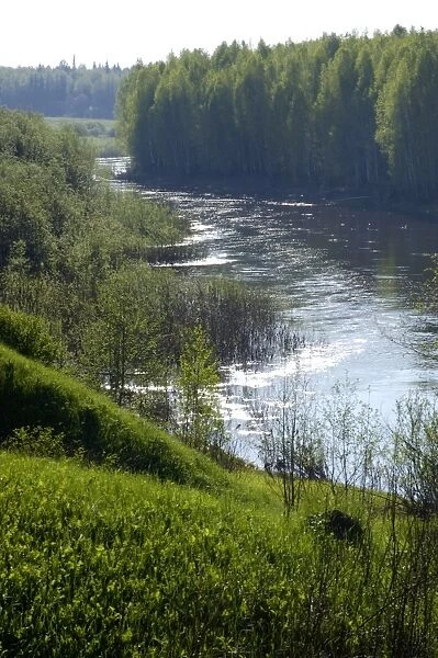 River Tura in North Ural Mountains - a typical large Siberian river with brown waters (coloured by pit), an early morning in spring. Native coniferous forest in the valley was cut for timber and replaced with birch and aspen later