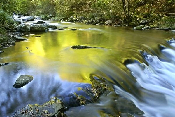 River at Watersmeet autumn colours reflected in wild brook Watersmeet, Exmoor National Park, Devon, England, UK