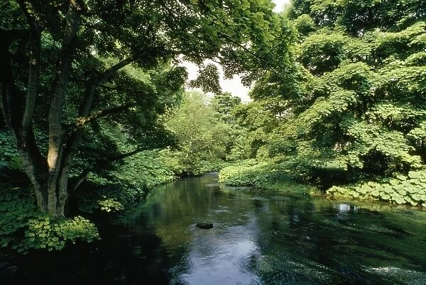 River Wye Miller's Dale, Peak District, UK