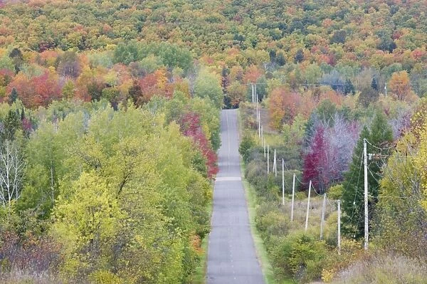 Road through Aspen Forest showing Autumn Colours Upper Penninsular, Michigan, USA LA004366