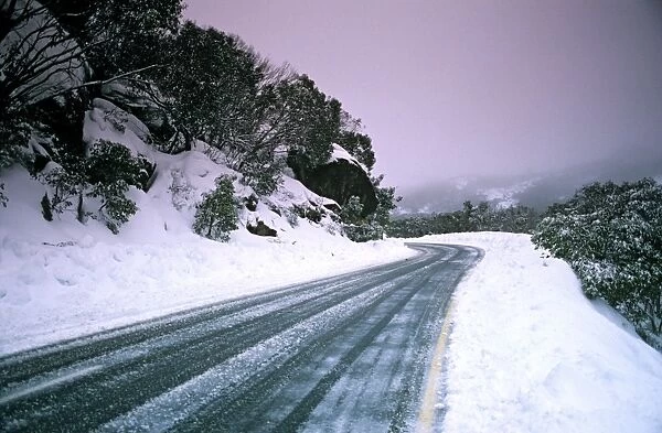 Road through snow Mount Buffalo National Park, Victoria, Australia JLR02446