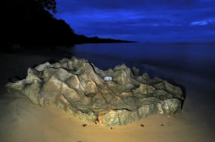 Framed Print : Rock on the beach in the evening of Masoala National Park - Madagascar Framed Print : Rock on the beach in the evening of Masoala National Park - Madagascar