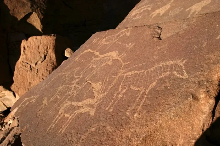 Framed Print : Rock Engravings. Twyfelfontein. Namibia Betweeen -5600 BC et _2500 BC