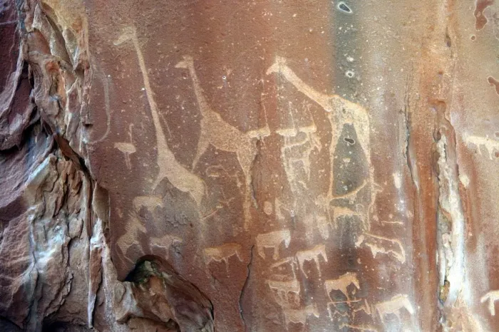 Framed Print : Rock Engravings. Twyfelfontein. Namibia Betweeen -5600 BC et _2500 BC Framed Print : Rock Engravings. Twyfelfontein. Namibia Betweeen -5600 BC et _2500 BC