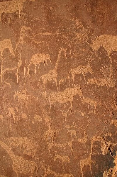 Rock Engravings. Twyfelfontein. Namibia Betweeen -5600 BC et _2500 BC