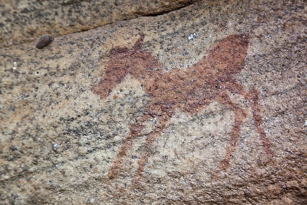 Rock painting of zebra foal, Sevilla Rock