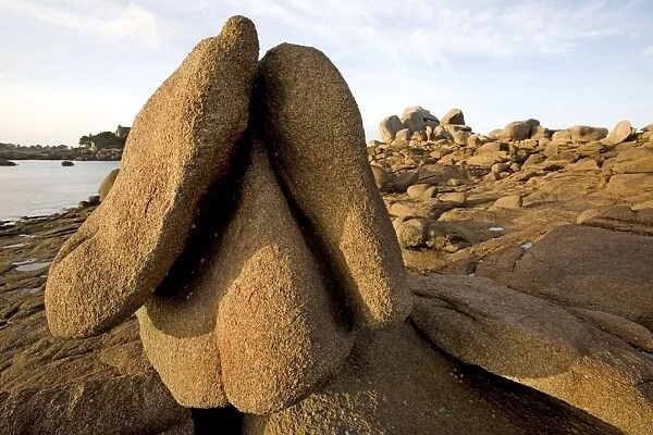 Rocks on coastline - Ploumana'h - Brittany - France