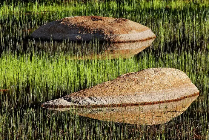 Framed Print : Rocks and grass at first light, Tuolumne Meadows, Yosemite National Park, California Date: 25-07-2011 Framed Print : Rocks and grass at first light, Tuolumne Meadows, Yosemite National Park, California Date: 25-07-2011