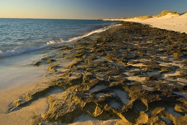 Rocky ledges and beach - water washes over exposed ledges of Ningaloo Reef at incoming tide in last evening light. The deserted beach invites for an evening stroll along the waterline - Cape Range National Park, Ningaloo Reef Marine Park