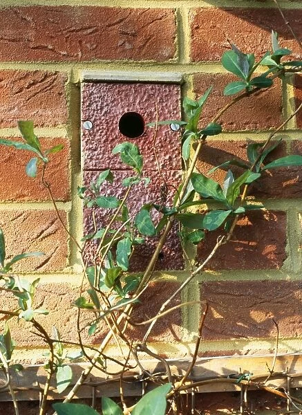 ROG-8971. Nestbox - for Tits, built into wall