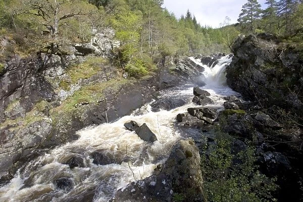 Rogie falls at Blackwater River near Garve Ross and Cromarty Scotland