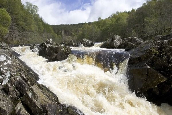 Rogie Falls at Blackwater River Near Garve Ross and Cromarty, Scotland