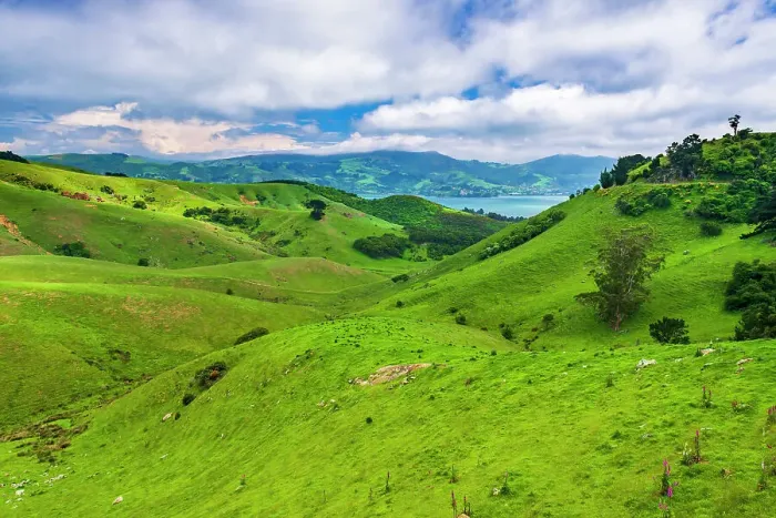 Framed Print : Rolling farmland on the Otago Peninsula, Dunedin, Otago, South Island, New Zealand Date: 22-06-2021 Framed Print : Rolling farmland on the Otago Peninsula, Dunedin, Otago, South Island, New Zealand Date: 22-06-2021