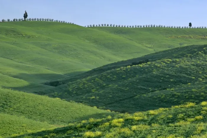 Framed Print : Rolling hills in springtime Val d Orcia, Tuscany, Italy Framed Print : Rolling hills in springtime Val d Orcia, Tuscany, Italy