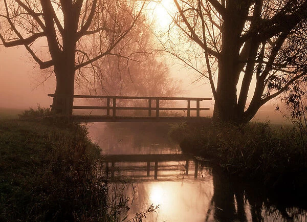 Romantic bridge spanning brook in morning mist Baden-Wuerttemberg, Germany