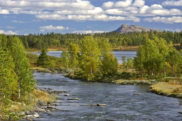 Rondane mountain scenery with lake, river and patches of forest Rondane National Park, Hedmark, Norway