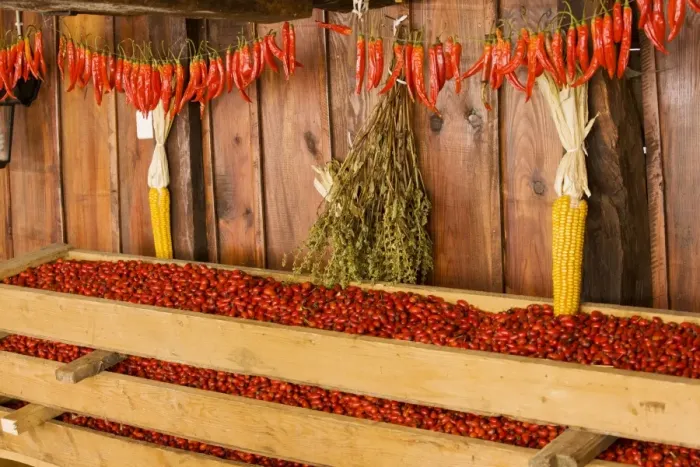 Framed Print : Rose-hips collected for drying for use in herbal tea and jams, with maize and chilli peppers; Crit, saxon village, Transylvania, Romania Framed Print : Rose-hips collected for drying for use in herbal tea and jams, with maize and chilli peppers; Crit, saxon village, Transylvania, Romania