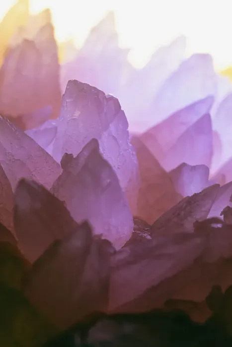 Framed Print : Rose Quartz Date: 12-04-2019 Framed Print : Rose Quartz Date: 12-04-2019