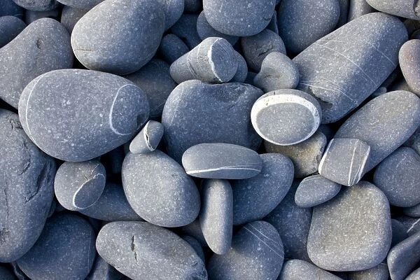 Rounded sandstone beach pebbles - at Hartland Quay - north Devon - UK