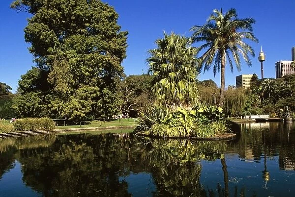 Royal Botanic Gardens with city and Sydney Tower beyond central pond, Sydney, New South Wales, Australia JPF50205