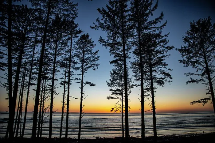Framed Print : Ruby Beach, Forks, Washington State, USA. Olympic National Park Date: 19-03-2020 Framed Print : Ruby Beach, Forks, Washington State, USA. Olympic National Park Date: 19-03-2020