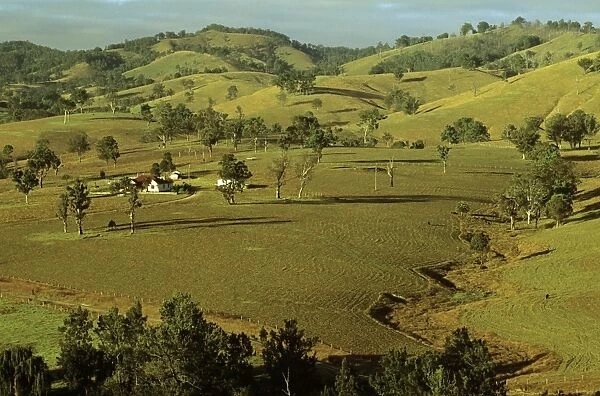 Rural scene Hunter Valley, New South Wales, Australia JPF52681